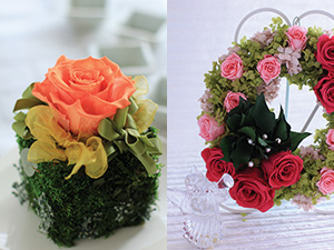 JOLI JARDINET ワンデーレッスン